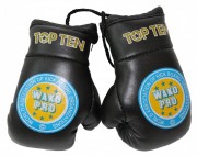 Сувенирные мини боксерские перчатки TOP TEN WAKO Pro фото